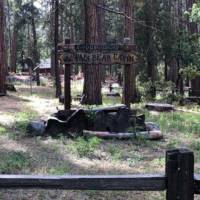 PaPa Bear Cabin at Wawona -