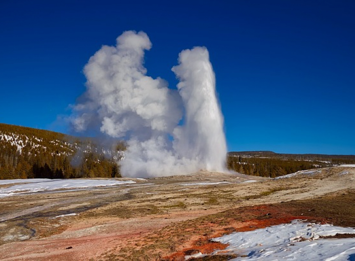 Geyser in Yellowstone National Park