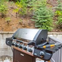 Sierra Blossom (Sierra Grand)