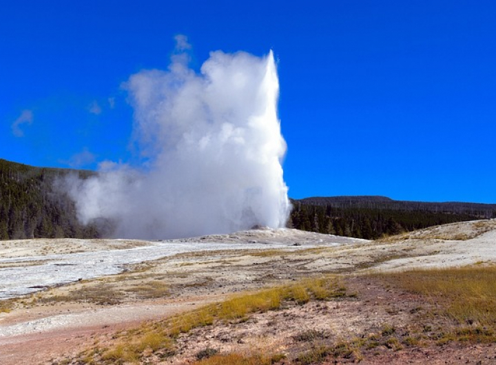 Geyser in Yellowstone National Park