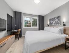 Deluxe One Bedroom Suite