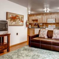 Hutchings Apartment - Living Room and Kitchen