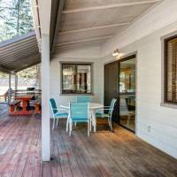 redwoods-in-yosemite-1-18