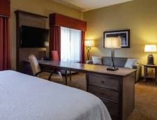 1 King Bed Studio Suite with Sofa Bed