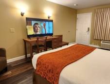 1 King ADA & Dog Friendly