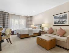 Premier King Guestroom