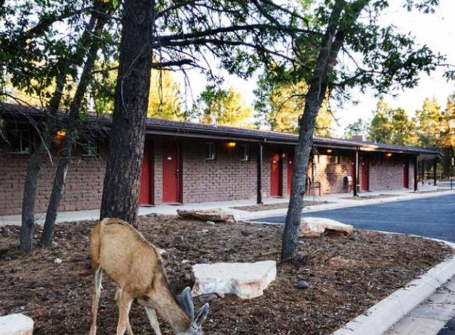 Yavapai Lodge Grand Canyon National - Yavapai Lodge 758519 Gallery