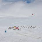 Helicopter Glacier Dog Sledding