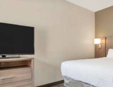 Suite 2 King & 1 Queen Beds