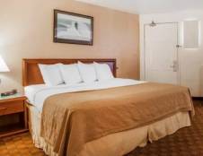 Standard Rooms - 1 King or 1 Queen