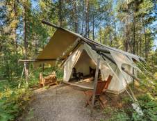 Safari Tent (Shared Bathhouse) - 1 King