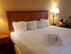 Poolside Rooms - 1 King or 2 Queens