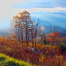  Fall Colors: Shenandoah National Park 