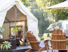 Premium Basecamp Suite - 1 Queen & 1 Futon