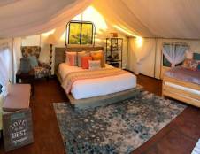 Deluxe Glamping Tents