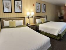 Standard Two Queen Beds Spa