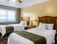 2 Double Beds, Pet-Friendly