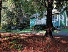 Cabin 19 Suite - 2 Queens & 2 Futons