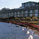  Red Lion Hotel Port Angeles