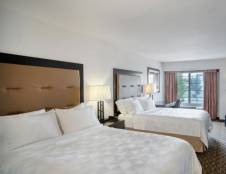 1 King or 2 Queens Standard Rooms