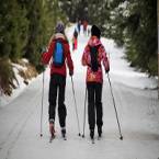 Cross-Country Skiing