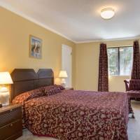 redwoods-in-yosemite-1-9