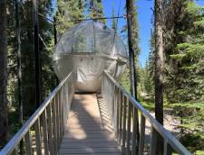 Sky Dome Clear Top 1 Queen with Shared Bath (Sky Dome #1 or #2)