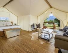 Suite Tent - 1 King & 1 Queen Sofa Sleeper