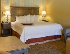 1 King Bed with Sofa Bed