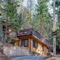 redwoods-in-yosemite-22B-16