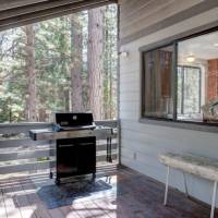 redwoods-in-yosemite-1-17