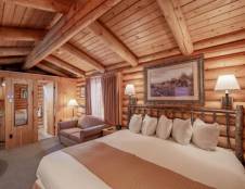 King Studio Cabin & Sofa Sleeper