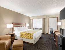 1 King Bed, Studio Suite