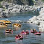Whitewater Rafting & Scenic Float Trips 