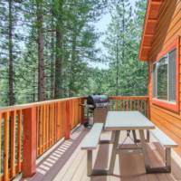 Sequoias East or West