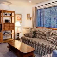 redwoods-in-yosemite-22B-12