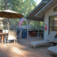 redwoods-in-yosemite-23A-11