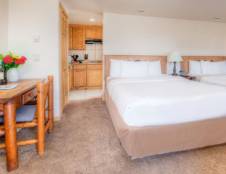 Premier View, Ground Floor with Kitchenette - 1 King or 2 Queens