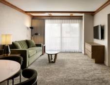 Executive Suites - 1 King