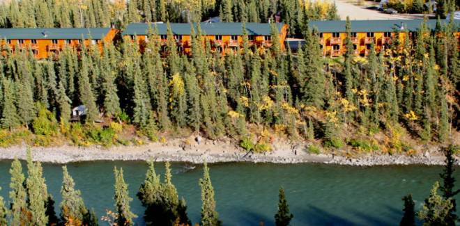 Denali Grizzly Bear Resort