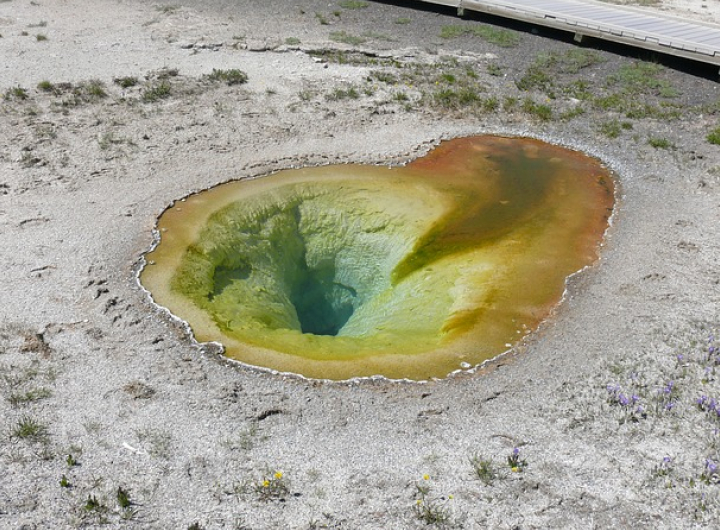Belgian Pool