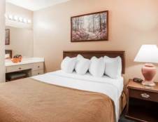 1 Queen Bed, 1 Bedroom Suite, Mountain View