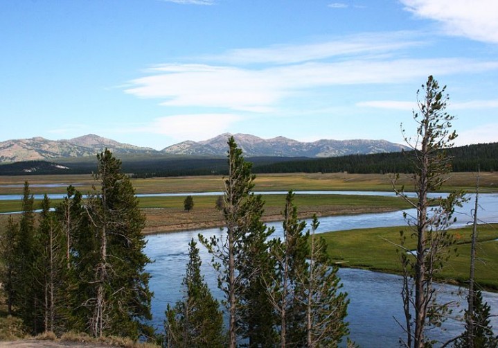 Hayden Valley