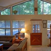 redwoods-in-yosemite-23A-7