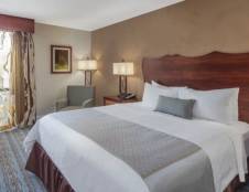 Executive Rooms - 1 King