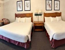 Mountain View One Bedroom Suite 2 Queen Beds & 1 Sofa Sleeper