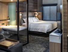 Suite, 1 King Bed, Sofa Bed