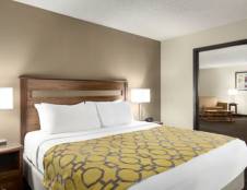 1 King Bed, One-Bedroom, Suite