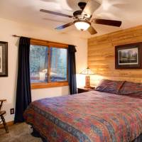 redwoods-in-yosemite-2N-8