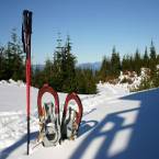 Snowshoeing